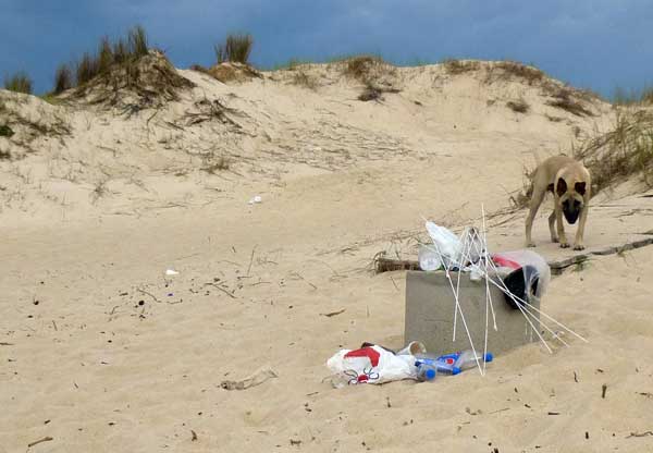 Overflowing trash bins on beach the day before tourist season starts, Atlántida, Uruguay