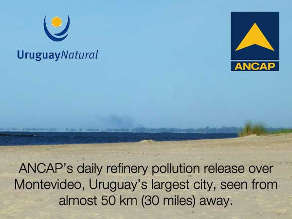 NACAP's daily air pollution over Montevideo