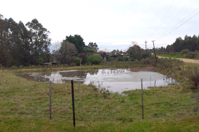 full pond, Uruguay