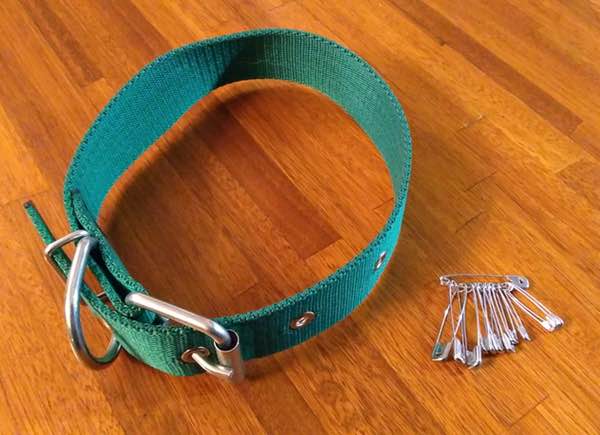 Green dog collar and safety pins