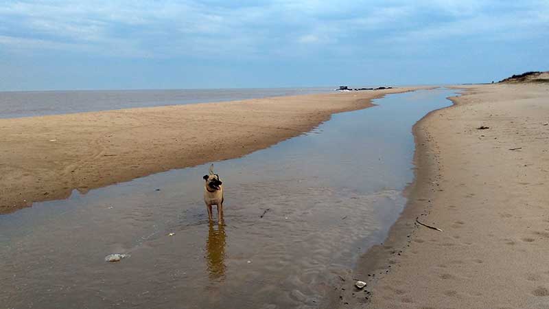 Flooded beach, Atlántida, Uruguay