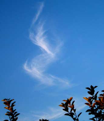 sylphs04