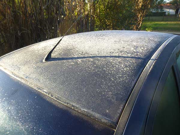 2016-06-09-FROST