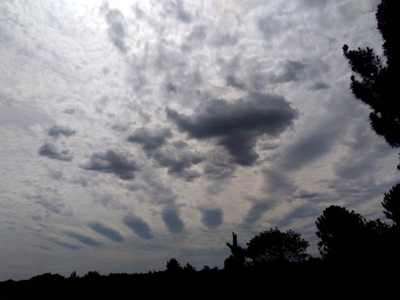 gray sky
