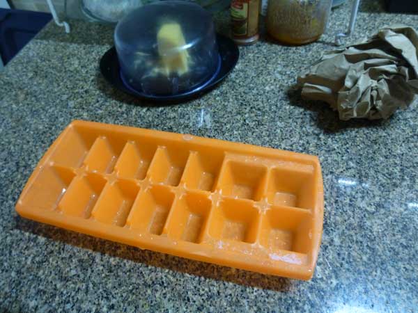 Orange plastic ice tray in Uruguay - that has lasted a year!