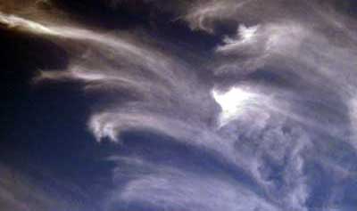 sylphs08