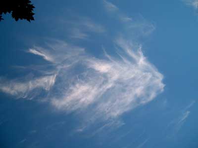 sylphs02