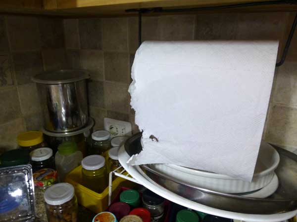 papertowels