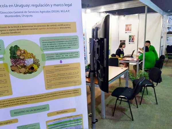 Uruguay marijuana sign up