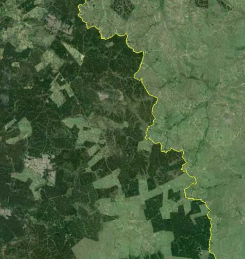Ecalyotus trees: Uruguay, yes; Brazil, no