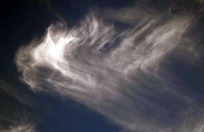 sylphs09