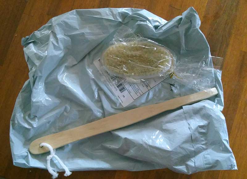 body scrub brush