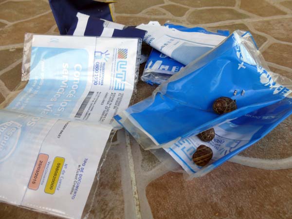 snail-mail