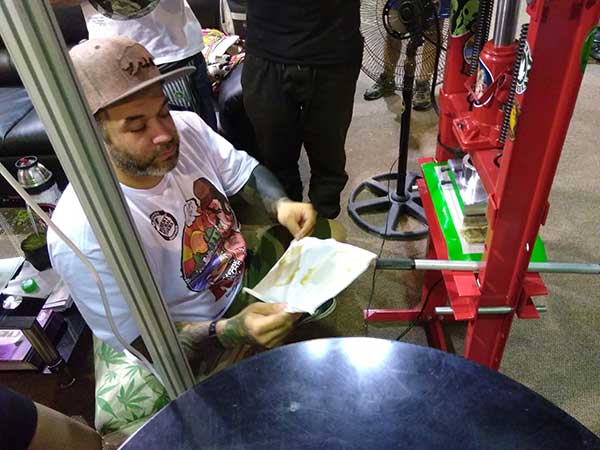 Extracting cannabis oil