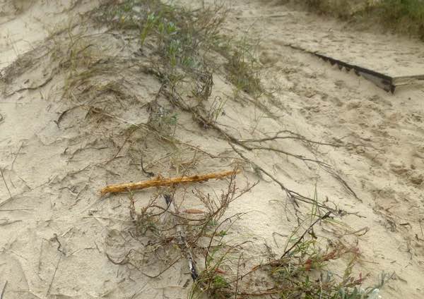 stick on beach