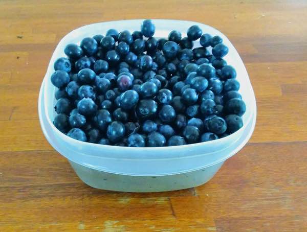 blueberries