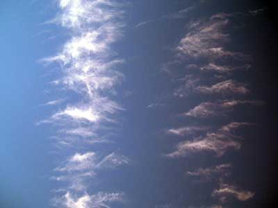 Sylphs, Spokane, 2006