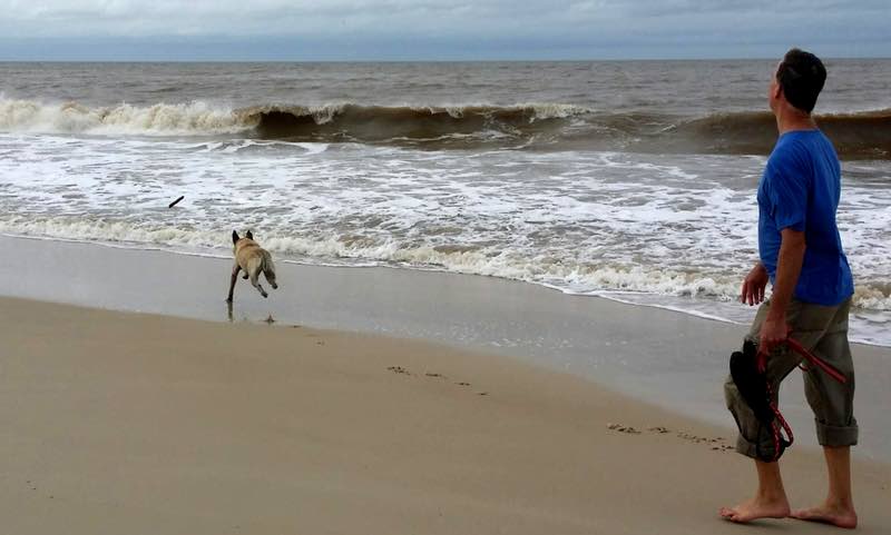 throwing stick for dog on beach