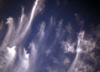 sylphs01