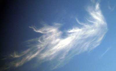 sylphs16