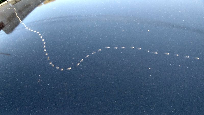 strange tracks on roof of car
