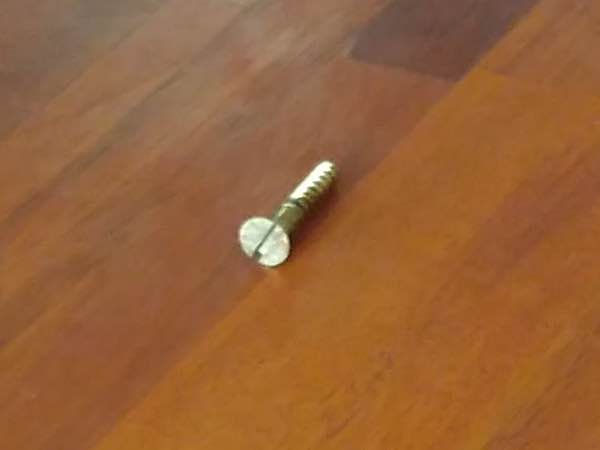 slotted screw