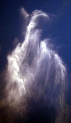 sylphs12
