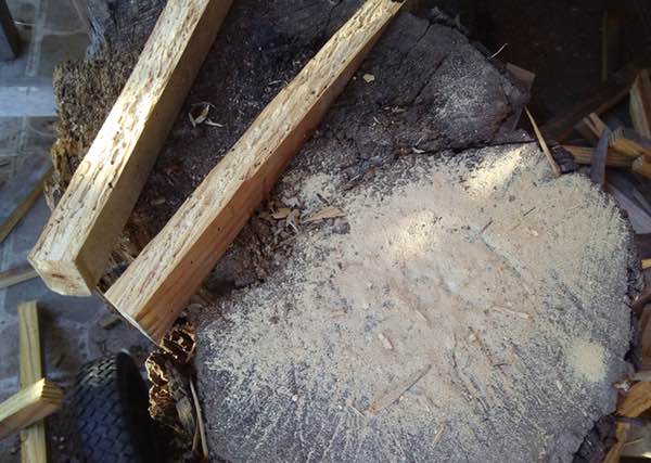 bug-eaten wood from ladder, Uruguay
