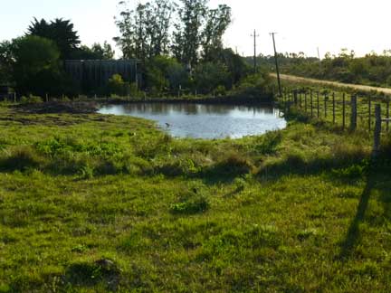 Our newly-filled tajamar, or pond, in URuguay