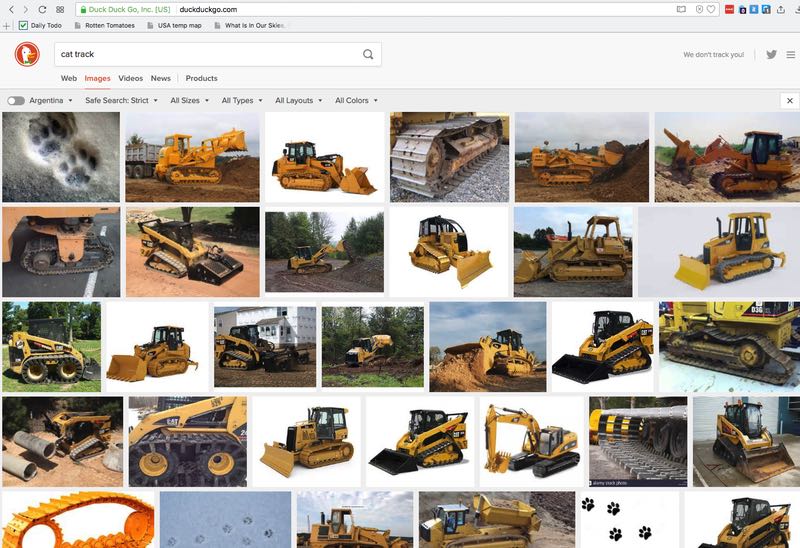 image search: cat tracks