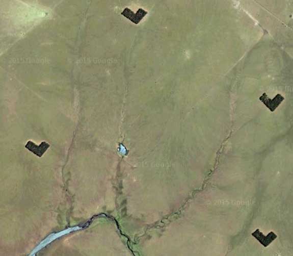 L-shaped forests in Uruguay