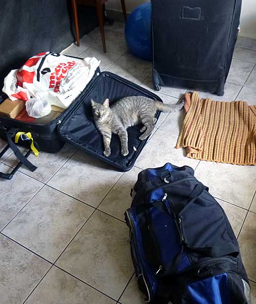 oscar-suitcase