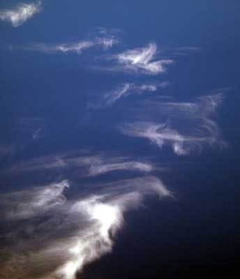 sylphs10
