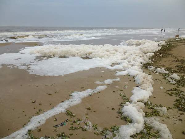 beach, Atlántida, Canelones, Uruguay