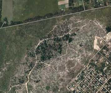 aerial view of undeveloped land