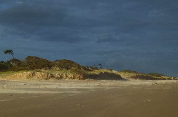 eroded dunes after storm, Atlántida, Uruguay