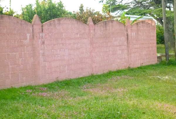 pink wall with pink wildflowers, Atlántida