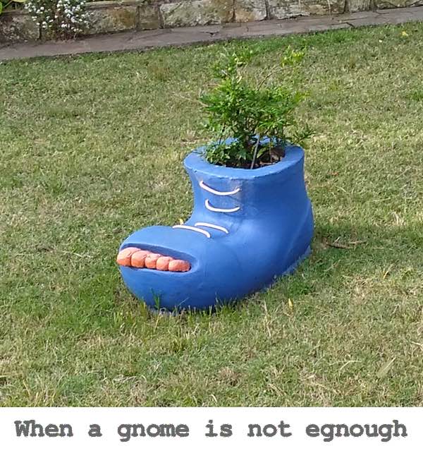 shoe planter