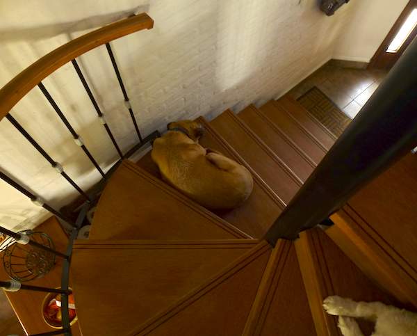 stairs02