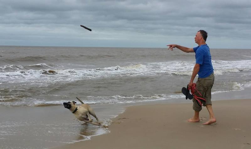 throwing stick for dog on beach