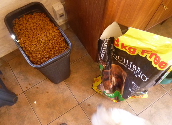 dog food