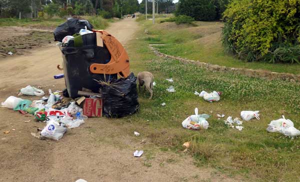 Overflowing trash containers, days before tourist season starts, Atlántida, Uruguay