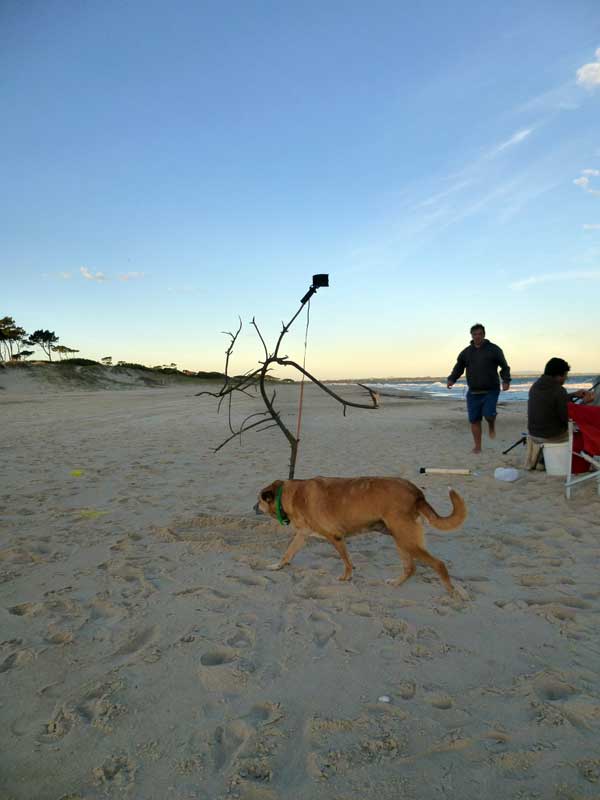 beach-dance