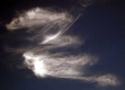 sylphs03