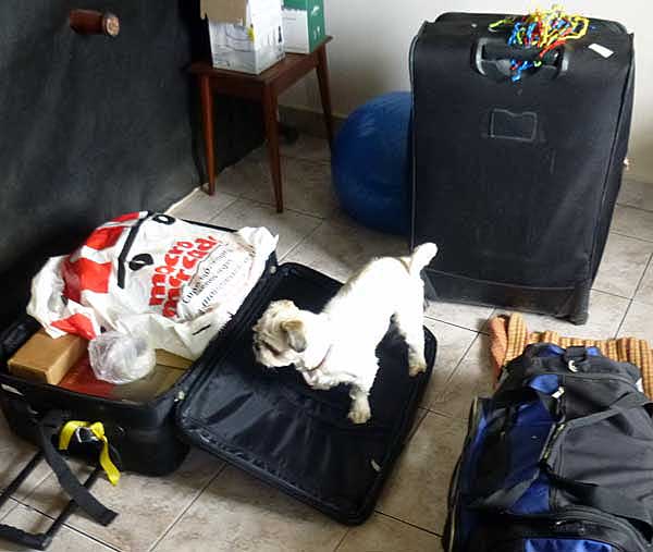 bandido-suitcase