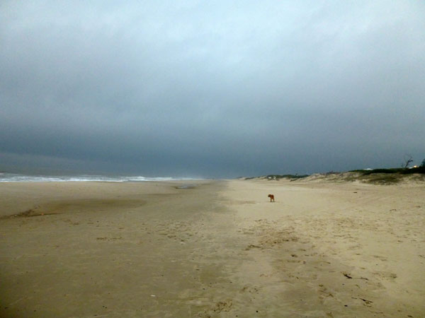 foreboding
