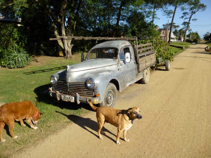 Old Peugeot pickup truck, Uruguay
