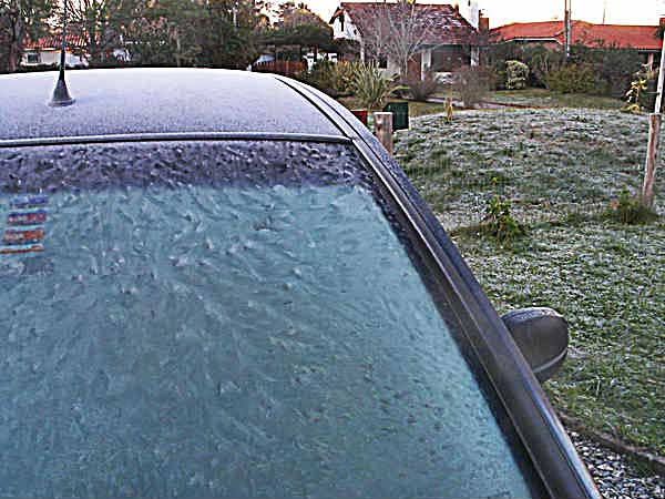 frost