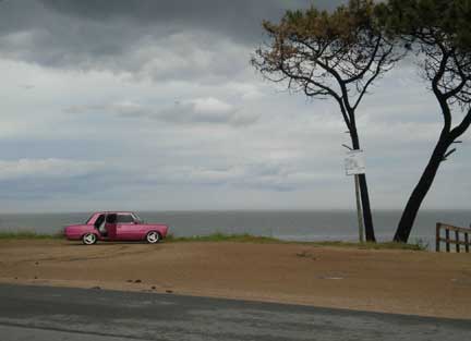 Car, tree, ocean — Uruguay