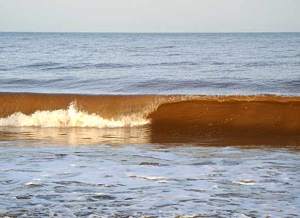 Little brown ocean waves, Atlántida, Uruguay